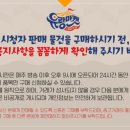 마켓후