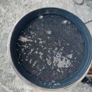 현대1급종합정비 이미지