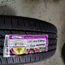 타이어 랜드 이미지