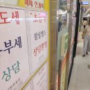 한경공인중개사사무소 이미지