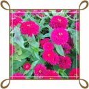 (야간)타로 이미지