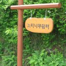 느티나무 쉼터 이미지
