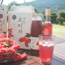 모정농원 이미지