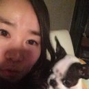 부산보돌어묵 이미지