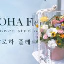 알로하플레르 이미지