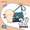 오투호프 | [27주~29주 임산부]일상, 정밀초음파, 육아용품 준비..