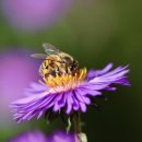 모아내과의원 이미지