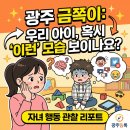 금쪽같은 우리아이 긍정적 훈육 과정 | 광주 금쪽이: 우리 아이, 혹시 '이런' 모습 보이나요?