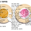 가말천 네이버블로그