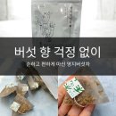 주식회사 더담현 | 노랗게 진할 줄 알았는데 의외로 순했던 영지버섯차 후기