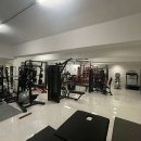 GYM223 이미지