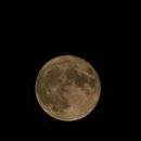 황토메타길 이미지