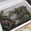 2대째무진장수산