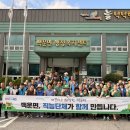 백운면 충청타임즈