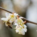 현대컴퓨터크리닝 이미지