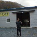 어남약쑥 이미지