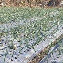 원구농장 이미지