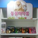 대치동동물약국 이미지