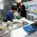 이28연합치과의원 이미지