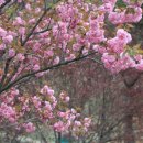 함께 그리는 연천 이미지