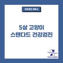 박물관옆동물병원 이미지