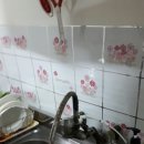 금빛초교 이미지