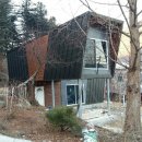 씨홀스 Daum카페