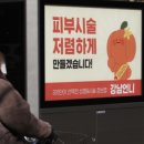 강남언니 네이버블로그
