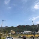 황칠오리