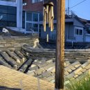 오다방