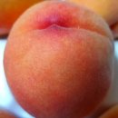 우하농장 이미지