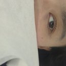 완산금방
