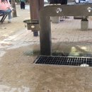 서울숲 숲속놀이터 화장실 이미지