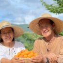 산골복숭아농장 이미지