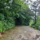 다연펜션 이미지