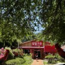 탑골숯불닭갈비 이미지