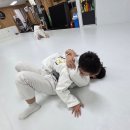 명문체육관 인화도장 | 광주 신가동 주짓수 | 4월, 우리 아이 첫 무술 도장으로 스파르탄짐을 선택해야 할 때입니다 (ft...