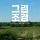 보령깔끔이청소대행 | 예산 시흥 수원 보령 천안 벌초 대행 서비스 이용 후기