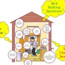 푸른솔관광 이미지