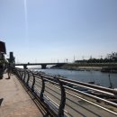 장림항(문화촌) 이미지