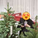 블룸하우스 | 북유럽 감성 모던하우스 윈터블룸 전나무 트리, 180cm 실사용 후기