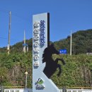 악양승마장 이미지