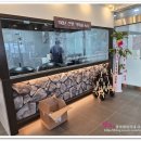 다오픈 | 배방 맛집 교동면옥 아산 냉면 맛 본 후기 다오픈