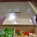 이학영 농장 | [후기] 현미 채식 도시락과 의원 발언들로 예상해본 동물복지국회포럼의 가능성.