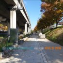 연가교옆 이미지