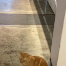 주현이손맛
