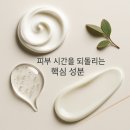 피부 노화 늦추는 성분 TOP 5 추천, 젊음 유지 비결 지금 바로 확인하세요 (최신)