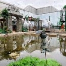 (주)썸데이로맨스 이미지