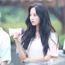 보나 이미지