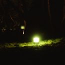 대율초등학교 이미지